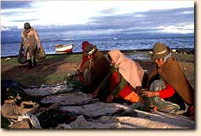 Aymara fiskekoner sorterer nattens fangst tidligt om morgenen ved Titicacasen 